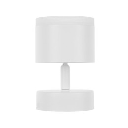 Светильник накладной поворотный/белый GX53 15 Вт LEIDEN ELECTRIC