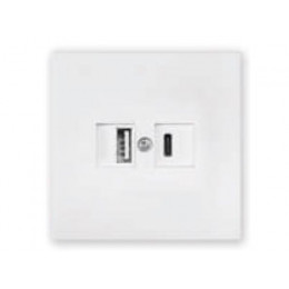 Розетка с двумя USB-разъемами (скрытая, узел) белая, Carre BYLECTRICA