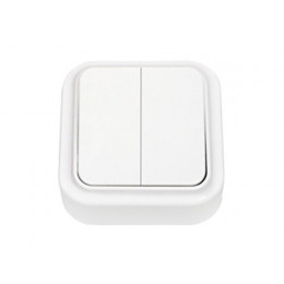 Выключатель 2 клав. (открытый, 6А) белый, Пралеска, Bylectrica