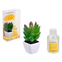 Ароматический диффузор "Madagascar", 50 мл, "Сладкая орхидея", AROMA REPUBLIC