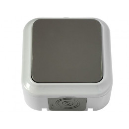 Выключатель 1 клав. (открытый, 6А, брызг. защ.) серый, Пралеска Аква, Bylectrica