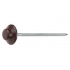 Гвоздь для битумного еврошифера 2.5х70 коричневый круглый (100 шт в упак)