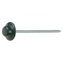 Гвоздь для битумного еврошифера 2.5х70 зеленый круглый (100 шт в упак)