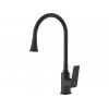 Смеситель для кухни (Lt) D35, серия WIN (black) AV Engineering