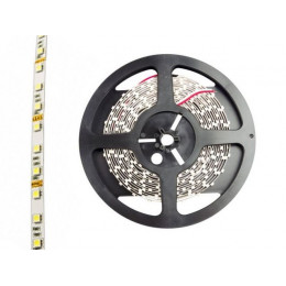 Лента светодиодная PLS-5050/60 (14.4 Вт/м, 900 Лм/м, 6500К, IP20, 12В (5 м в уп.) JAZZWAY