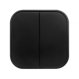 Выключатель 2 клав. (открытый, 10А) черный, Bailly, LEIDEN ELECTRIC