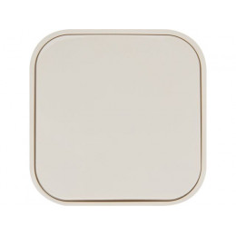 Выключатель 1 клав. (открытый, 10А) бежевый, Bailly, LEIDEN ELECTRIC