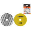 Алмазный гибкий шлифкруг "Черепашка" 100мм P100 сух. GEPARD (GP5023-100)