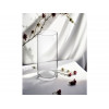Ваза для цветов, стеклянная, 25х10 см., серия Crystal, PERFECTO LINEA
