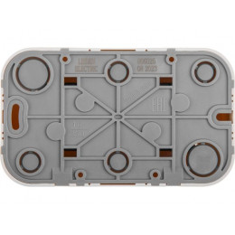 Розетка 2-ая (открытая, с/з) бежевая, Bailly, LEIDEN ELECTRIC