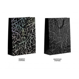 Пакет подарочный с ручками, 42х31х12 см., черный, серия Emma, PERFECTO LINEA