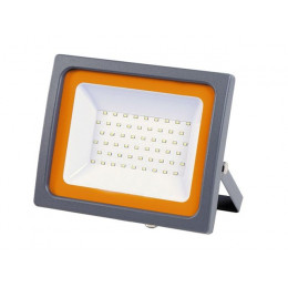 Прожектор светодиодный 50 Вт PFL-SC 6500К, IP65, 200-240В, JAZZWAY