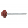 Гвоздь для битумного еврошифера 2.5х70 красный круглый (100 шт в упак)