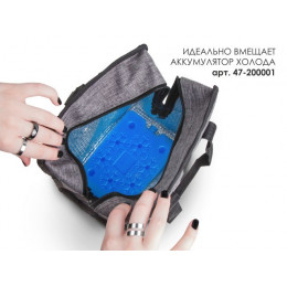 Термосумка 21,5х13х25 см, ARIZONE