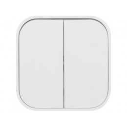 Выключатель 2 клав. (открытый, 10А) белый, Bailly, LEIDEN ELECTRIC