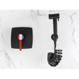 Смеситель для биде (Lt) D35, серия Rose черный + красный, a-five