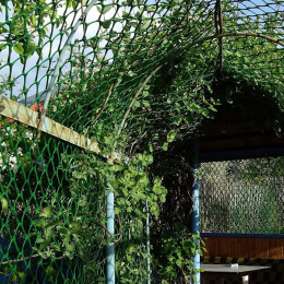 Садовая решетка 1.8*20м (45*45мм), ромб